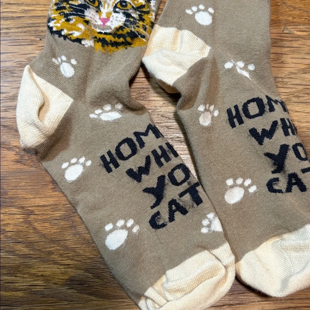 Novelty cat socks